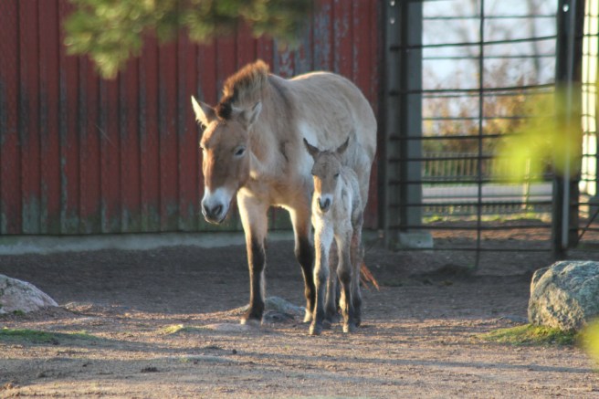 6343013313_b04a3c7d31_b