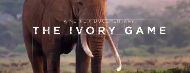 the-ivory-game-netflix