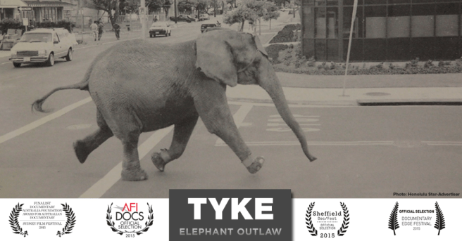 tyke-fb-ad-laurels-1064x557